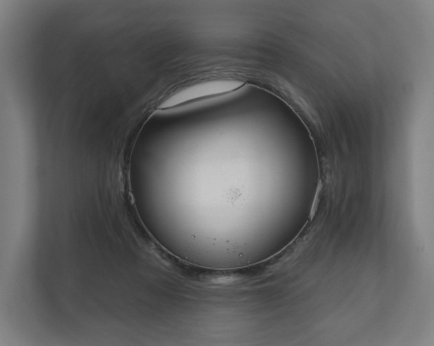 X0000110860313200906251214