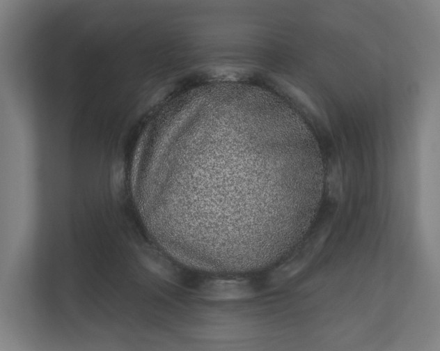 X0000110860314200906251213