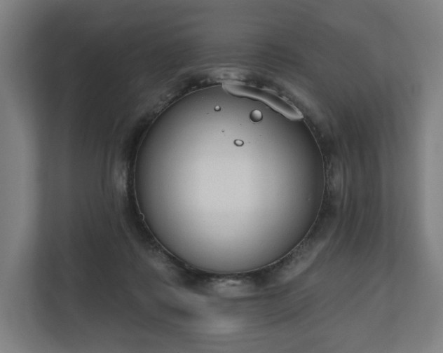 X0000110860315200906251213