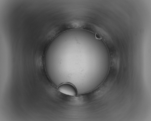 X0000110860317200906251213