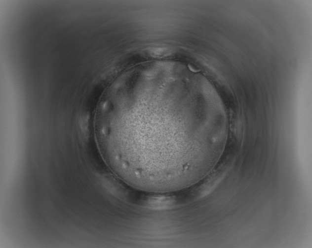 X0000110860319200906251213