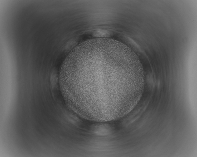 X0000110860322200906251213