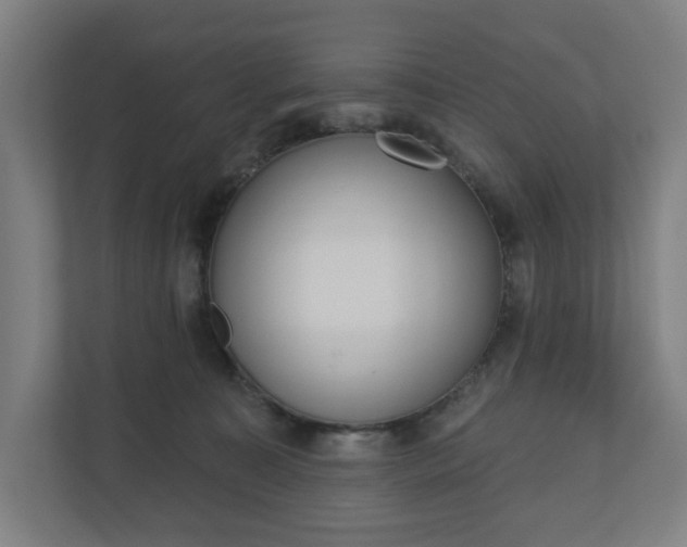 X0000110860323200906251213