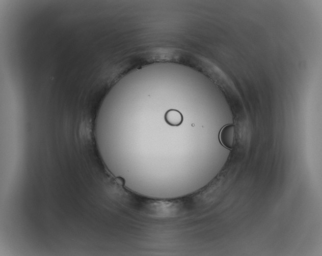 X0000110860326200906251213