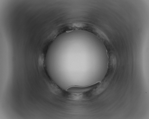 X0000110860328200906251213