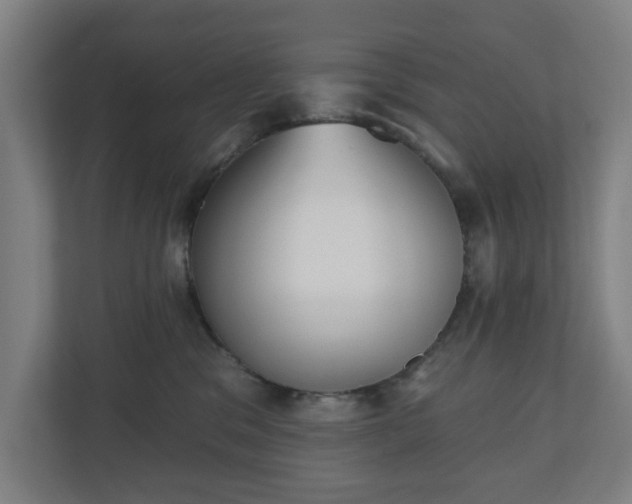 X0000110860329200906251213