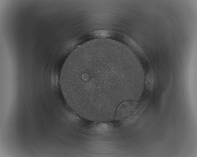 X0000110860330200906251213