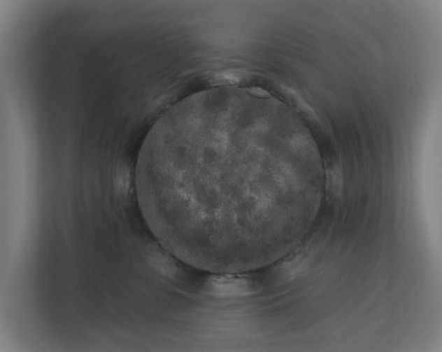 X0000110860331200906251213