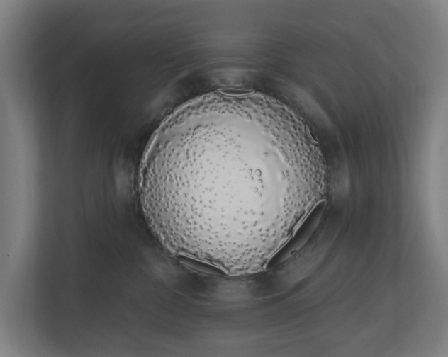 X0000110860332200906251213