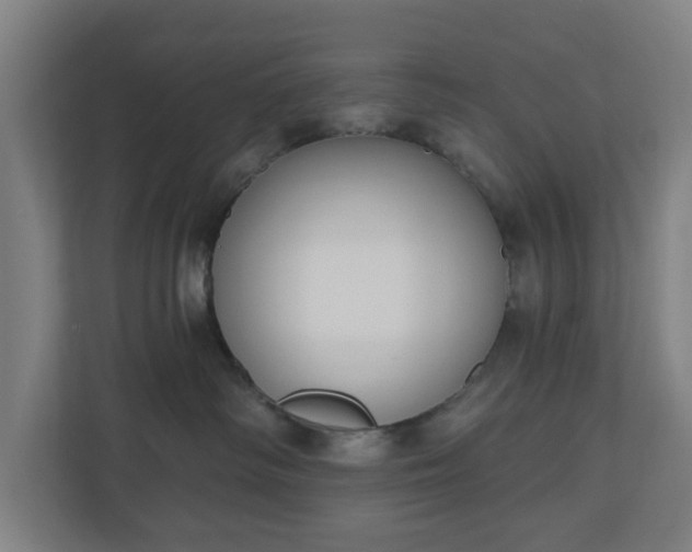 X0000110860334200906251213