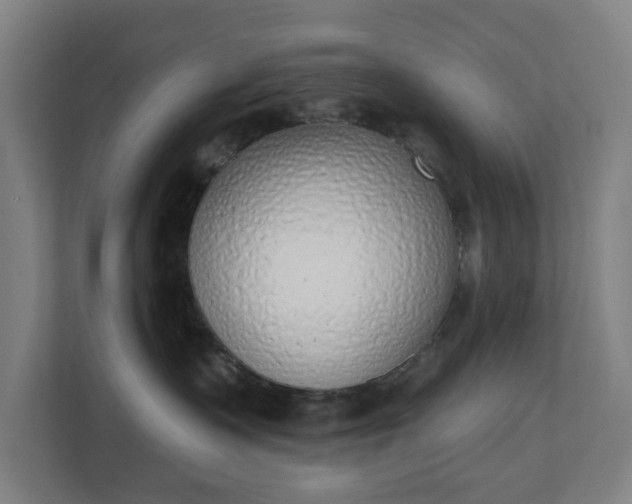 X0000110860335200906251213