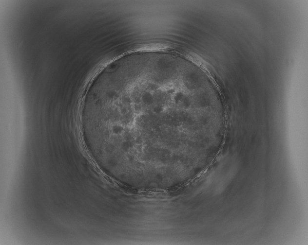 X0000110860337200906251213