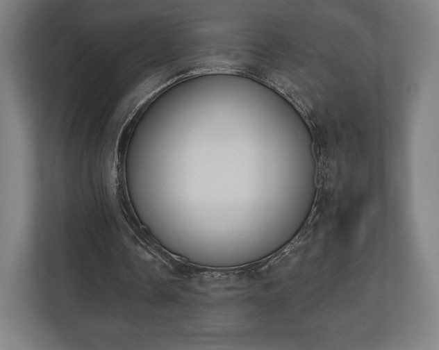 X0000110860338200906251213