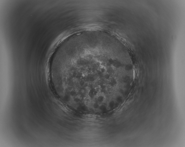 X0000110860339200906251213