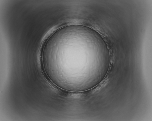 X0000110860341200906251213