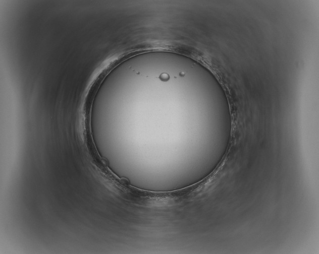 X0000110860342200906251213