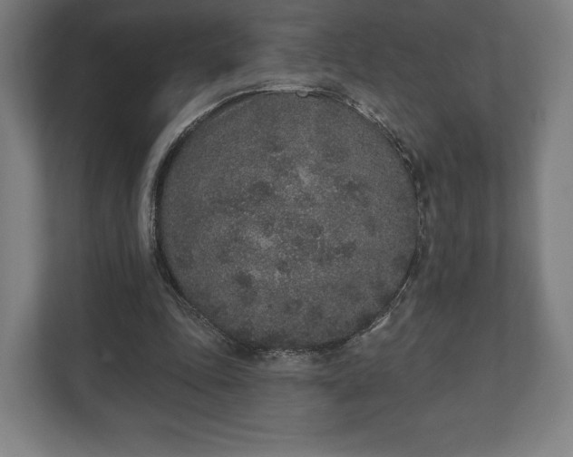 X0000110860343200906251213