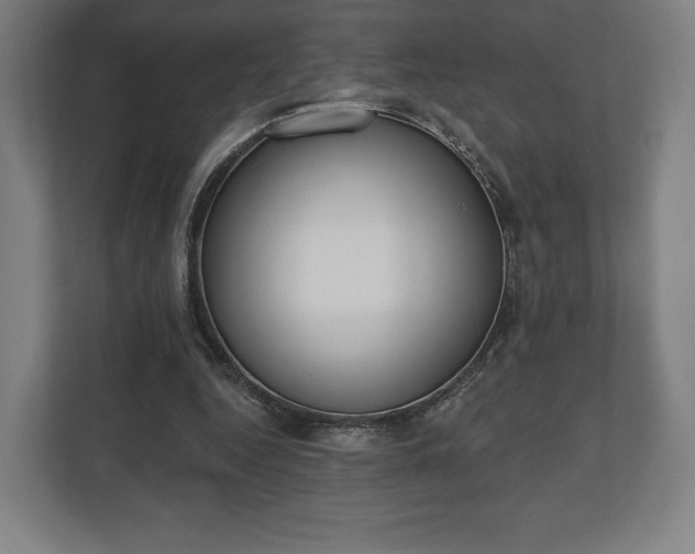 X0000110860344200906251213