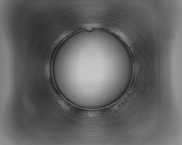 X0000110860345200906251213