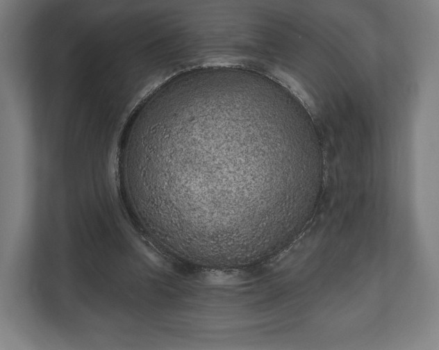 X0000110860346200906251213