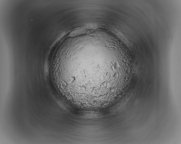 X0000110860347200906251213