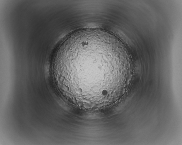 X0000110860351200906251213