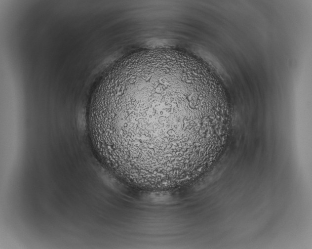 X0000110860353200906251213