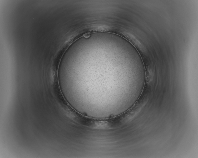 X0000110860355200906251213