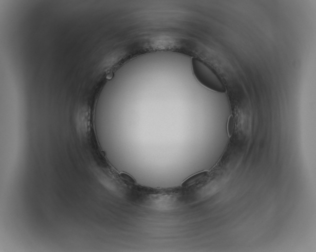 X0000110860356200906251213