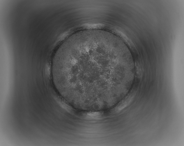 X0000110860357200906251213