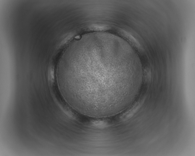 X0000110860358200906251213