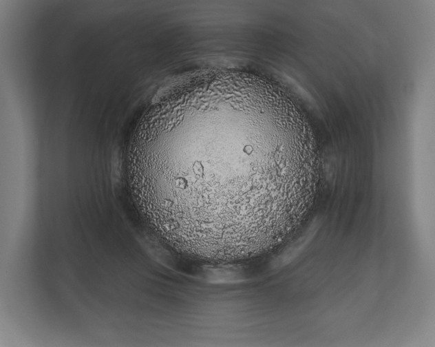 X0000110860359200906251213