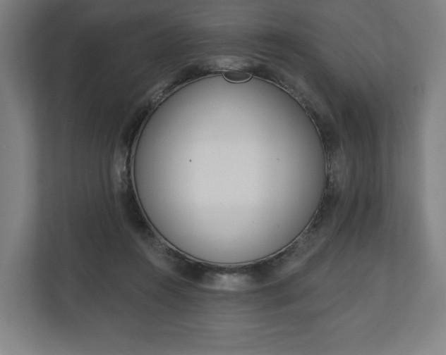 X0000110860360200906251213