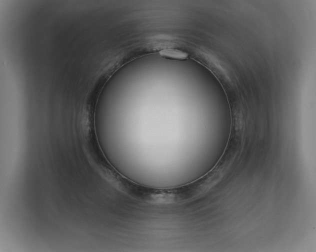 X0000110860362200906251213