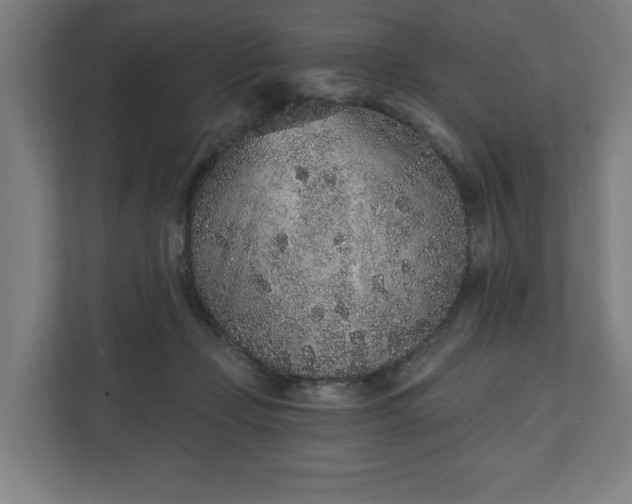 X0000110860365200906251213