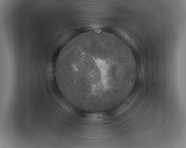 X0000110860366200906251213