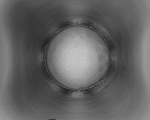 X0000110860369200906251213