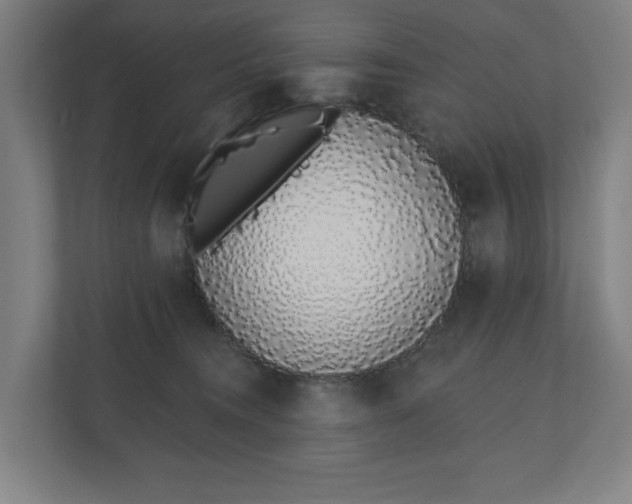 X0000110860372200906251213