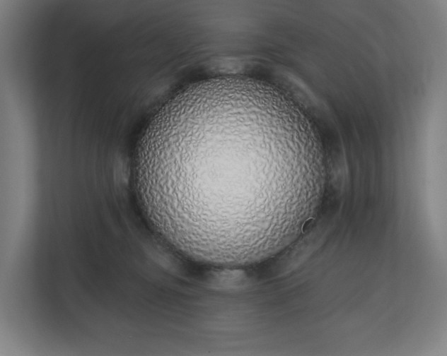 X0000110860374200906251213