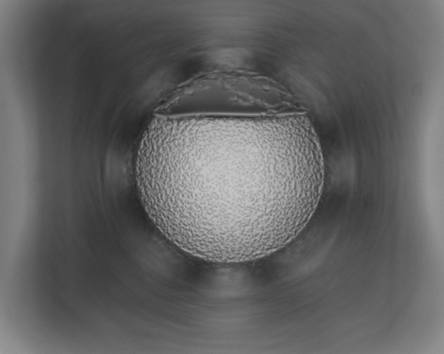 X0000110860376200906251213