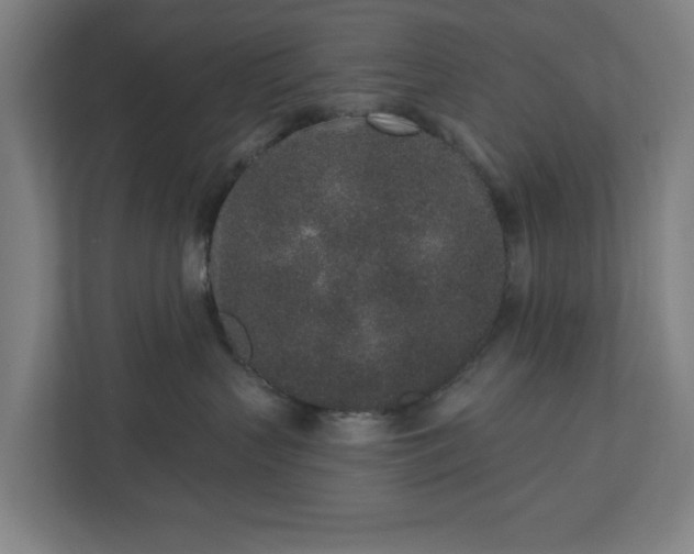 X0000110860383200906251213