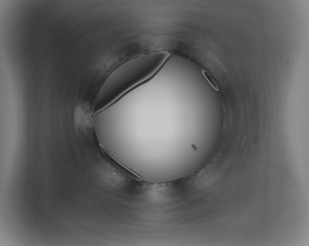 X0000110860384200906251213