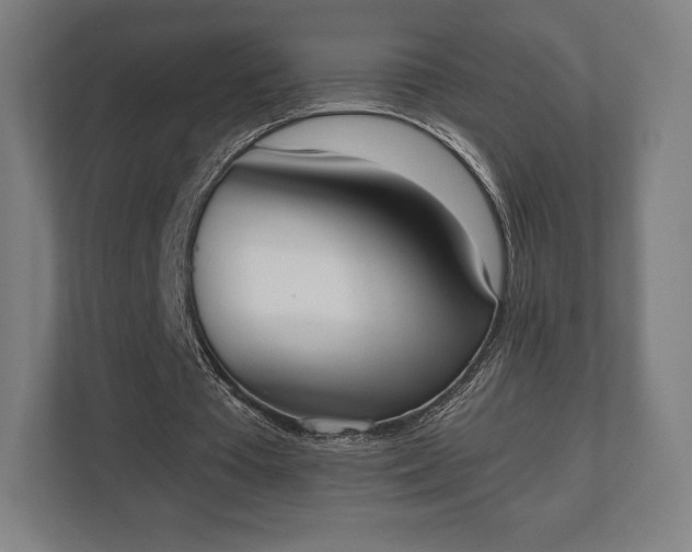 X0000110860385200906251213