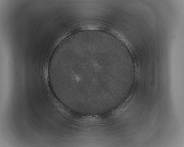 X0000110860386200906251213