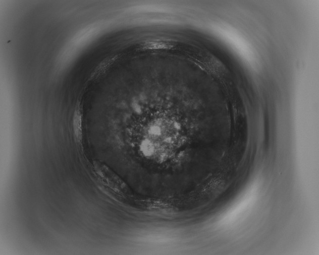 X0000110860387200906251213