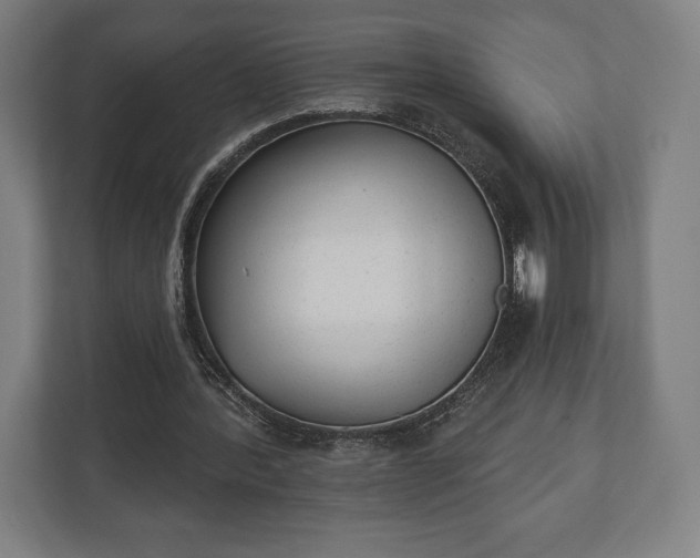 X0000110860388200906251213