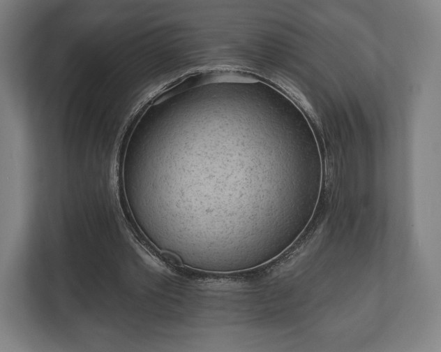 X0000110860389200906251213