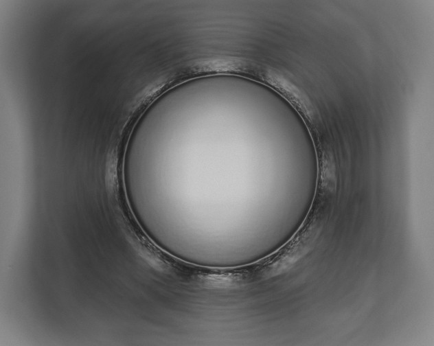 X0000110860394200906251212