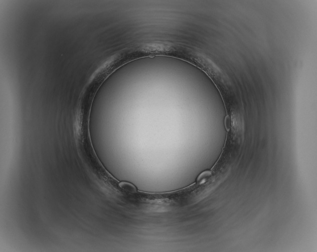 X0000110860396200906251212