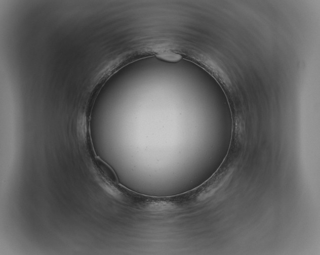 X0000110860397200906251212